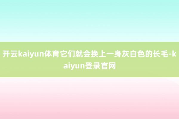 开云kaiyun体育它们就会换上一身灰白色的长毛-kaiyun登录官网